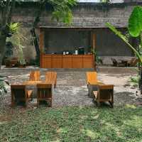 Haru Mewangi Coffee