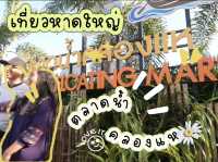 ตลาดนัดคลองแห  หาดใหญ่