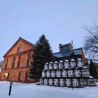 Sapporo in a Day: Culture, Cuisine & City Highlights