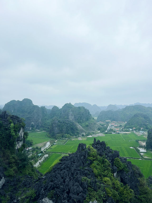 A Hidden Gem - Ninh Nhat