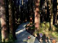 Alishan
