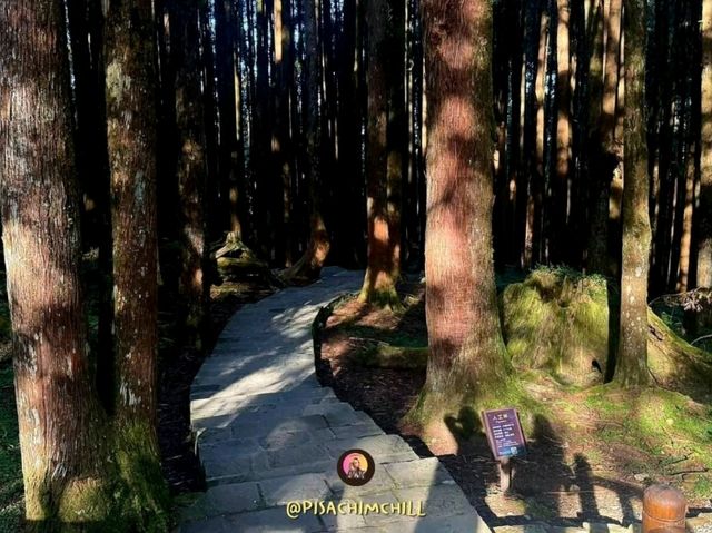 Alishan