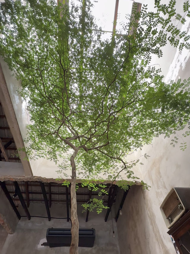 Rustic Vibes, Indoor Trees, and Cat Company: Grind.jb Café in Taman Sentosa