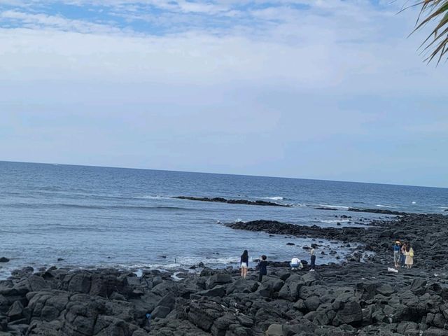 제주도 가면 꼭 가봐야되는 곳