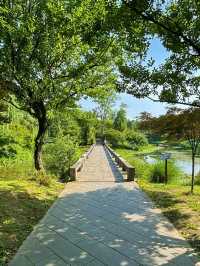 Huanhuaxi Park 🚲 