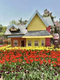 Blossoms Beyond the Gate: A Hidden Floral World in Zhengzho