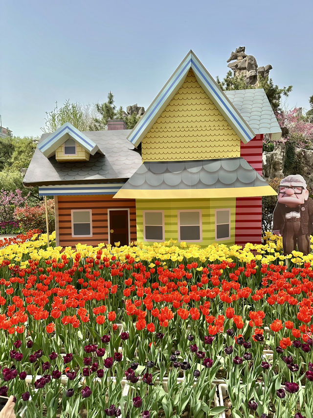 Blossoms Beyond the Gate: A Hidden Floral World in Zhengzho