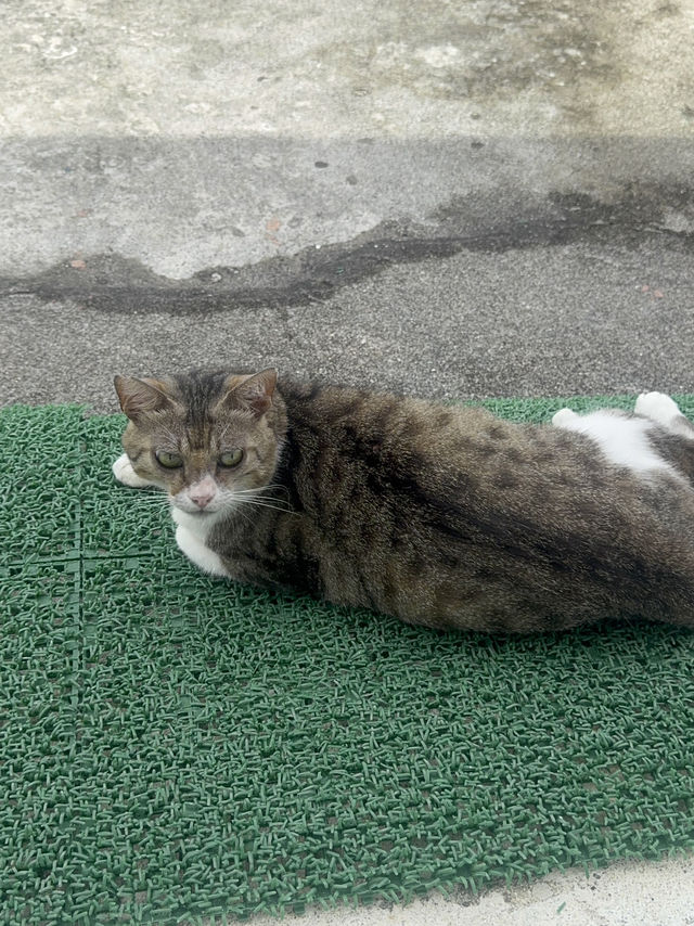 1泊2泊付き！送迎ありの民宿