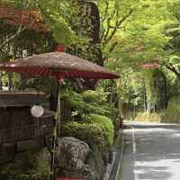 【貴船神社】水の神様に願いを込めて💧幻想的な森の中で縁結びの旅
