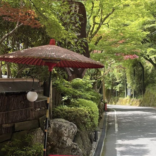【貴船神社】水の神様に願いを込めて💧幻想的な森の中で縁結びの旅