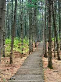 Shimenshan Forest Park