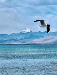 Sacred Views at Manasarovar Lake,