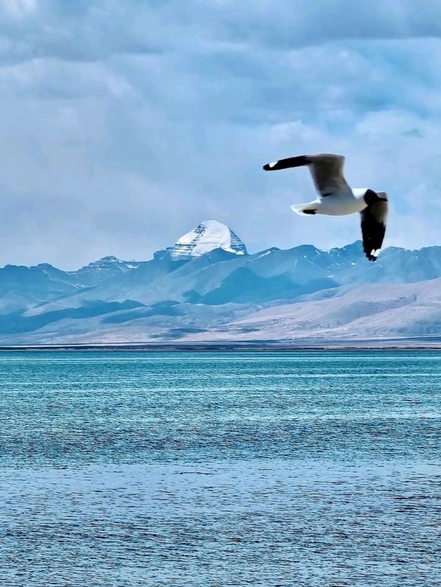Sacred Views at Manasarovar Lake,