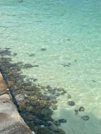 🌴🌊 อ่าวมาหยา…เมื่อความฝันเคยเป็นฉากในหนัง