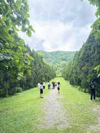 รีวิวCypress Lanes สวนสวยกลางหุบเขา เชียงไหม่