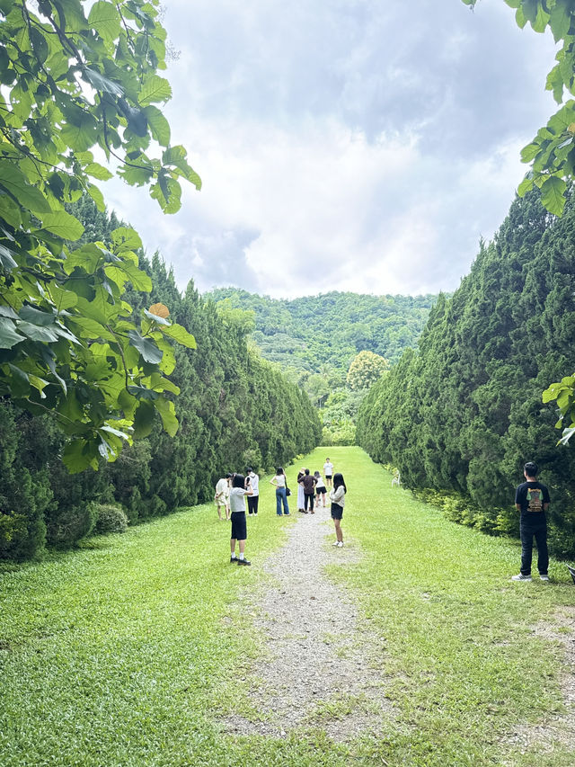 รีวิวCypress Lanes สวนสวยกลางหุบเขา เชียงไหม่
