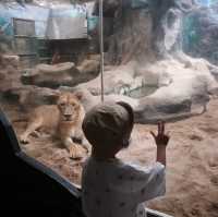 NIGHT SAFARI จ.เชียงใหม่