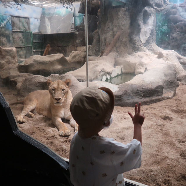 NIGHT SAFARI จ.เชียงใหม่