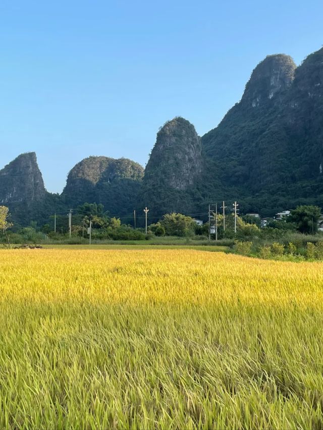 Experience Yangshuo: Nature, Culture & Adventure in One Place