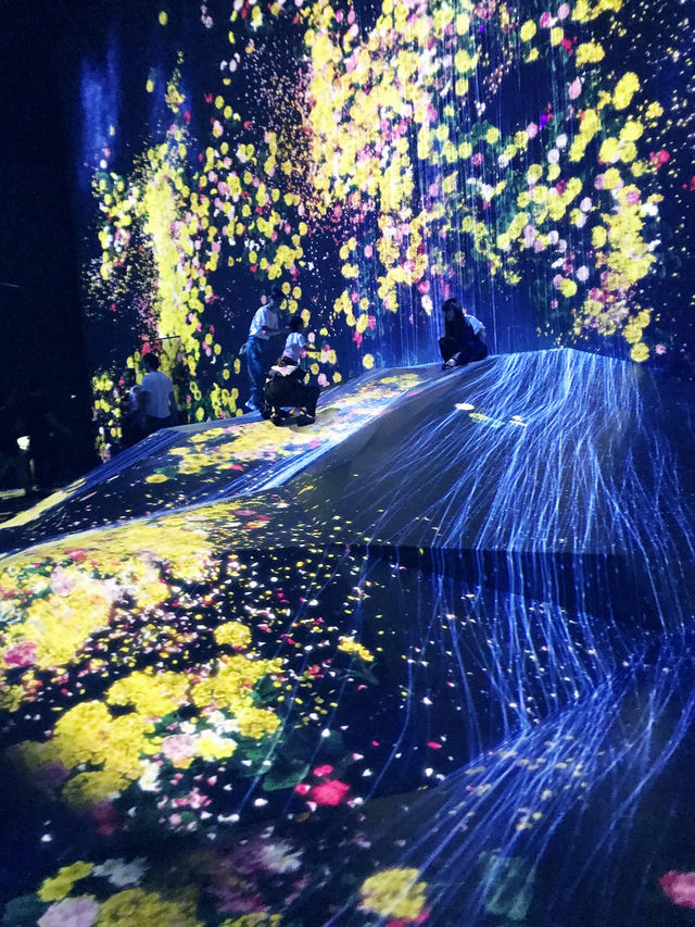 🌊✨【まるで夢の中】チームラボプラネッツ東京 DMM