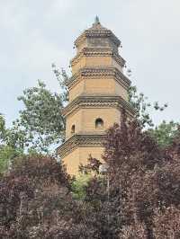 《千年長安行．西安十日深度旅遊心得》