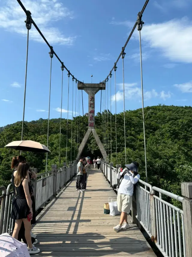세계의 문: 천문동굴 공개