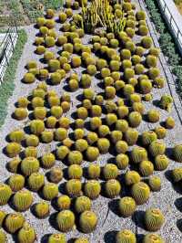 🌿 The Getty Center Garden – A Living Sculpture 🌿