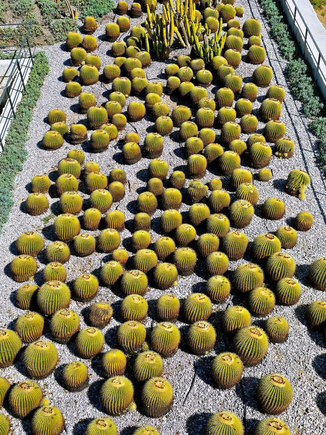 🌿 The Getty Center Garden – A Living Sculpture 🌿