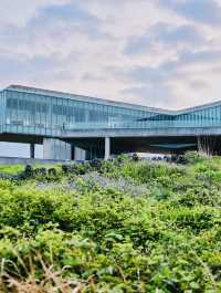 A Dramatic Coastal Headland with Iconic Views