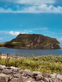 Convenient Access to Local Amenities and Seopjikoji