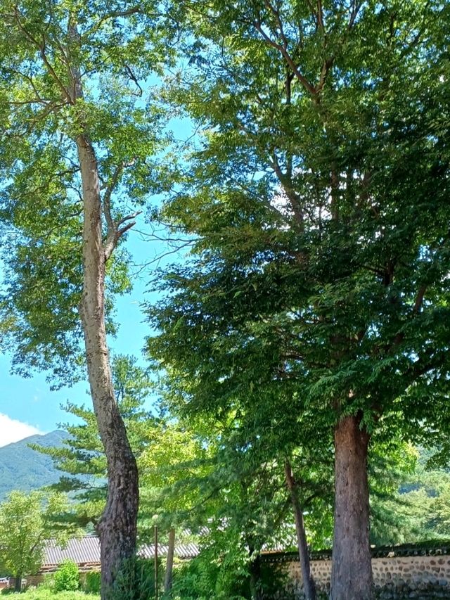 조용한 여유