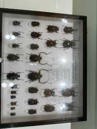 Saigon Zoo