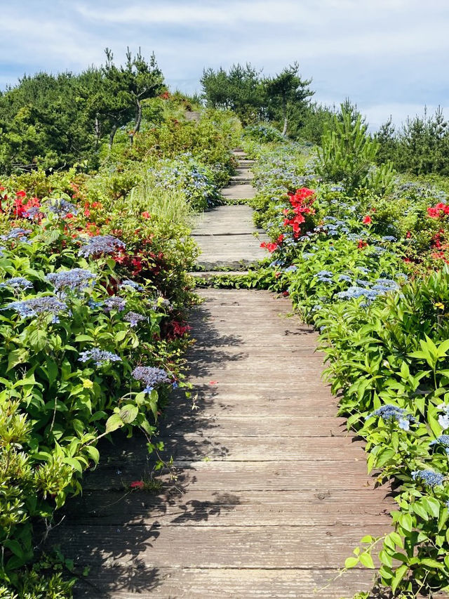 A Peaceful Hike to Panoramic Island Vistas