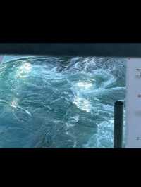 🌊世界が驚く自然の神秘！鳴門の渦潮で心が揺れる旅