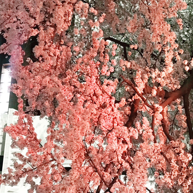 🌸春爛漫!桜と花に彩られる横浜さんぽ:海岸教会からガーデンフェスまで🌷 🌸春爛漫!桜と花に彩られる横浜さんぽ:海岸教会からガーデンフェスまで🌷
