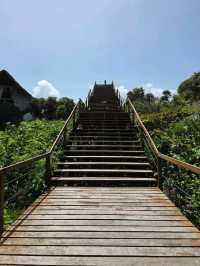 Curious Tracks and New Views at Tren Maya in Cancún