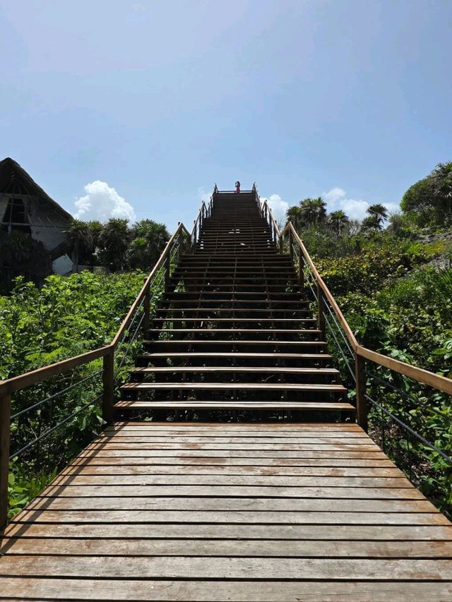 Curious Tracks and New Views at Tren Maya in Cancún