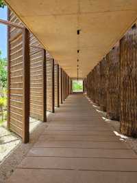 Creative Curiosities and Ocean Vibes at Mureco Museum
