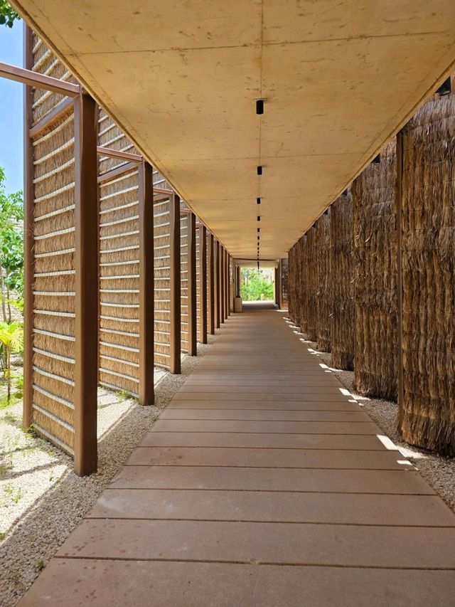 Creative Curiosities and Ocean Vibes at Mureco Museum