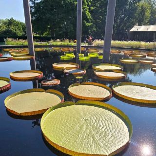 Missouri Botanical Garden – "A Living Canvas of Global Greenery"