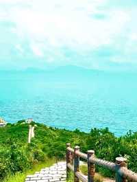 Panoramic Views from the Top