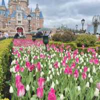 🎠🌈  Shanghai Disneyland  🏰  
