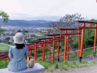 🇯🇵 沐浴在夕陽中的浮羽稻荷神社🦊