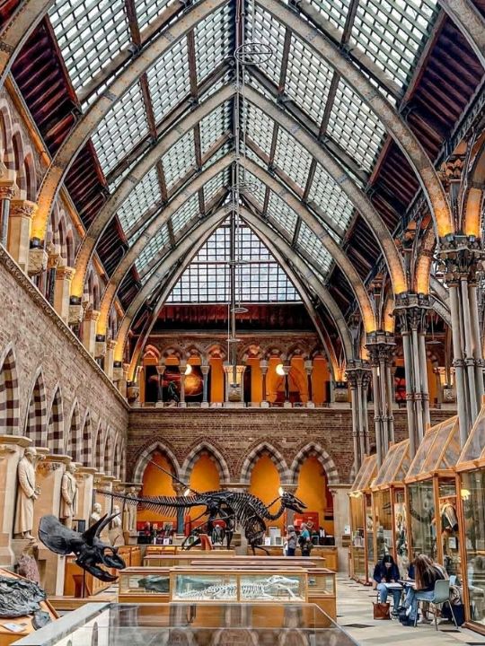 FREE entry, another amazing museum in Oxford, opened in 1860, was established to consolidate the university's scattered scientific collections and facilities into a single, purpose built space.