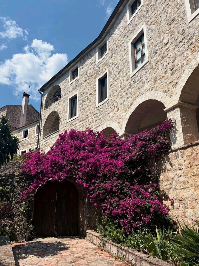 Enjoying the Coastal Energy of Budva