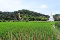 บ้านนาคูหา หมู่บ้านกลางหุบเขา เมืองแพร่
