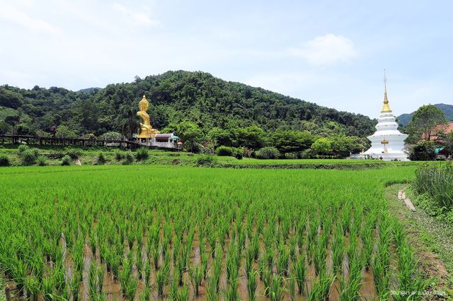 บ้านนาคูหา หมู่บ้านกลางหุบเขา เมืองแพร่