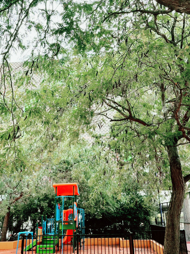 【Fitzroyで見つけたカラフルな婦人服ブランド路面店などMelbourne,Victoria,Australia】