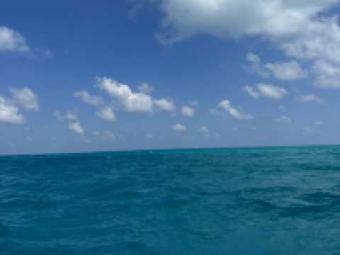 カンクン🇲🇽海底美術館でスキューバダイビング🤿