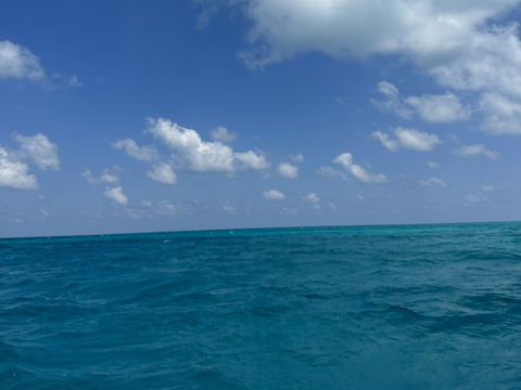 カンクン🇲🇽海底美術館でスキューバダイビング🤿